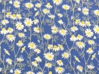 Hedgehog Hollow Blumen Gänseblümchen Daisies blau von In the Beginning